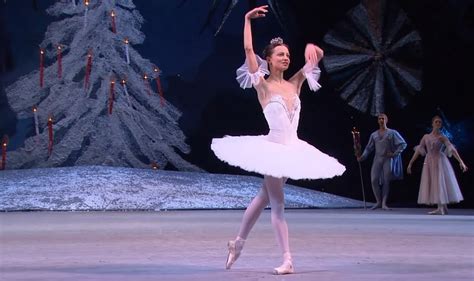 This Sugar Plum Fairy Dance Is Wondrous