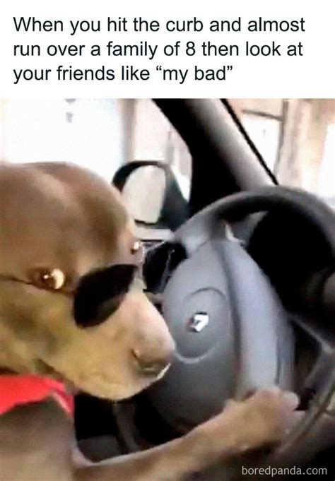 Hilariously Relatable Car Memes Every Driver Will Appreciate Demilked