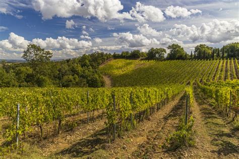 Strade Del Vino E Dei Sapori Della Toscana Turismo Viaggi Italia