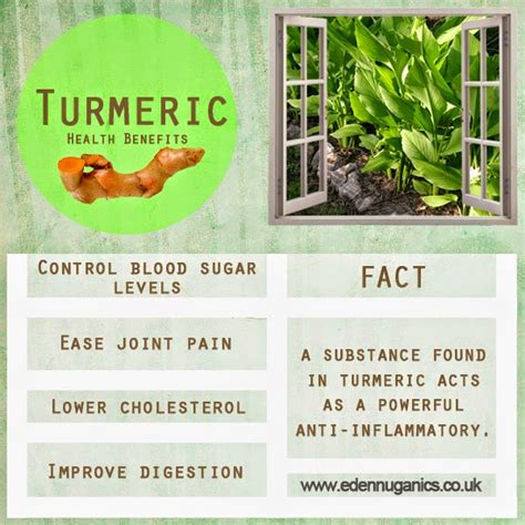 Eden Nuganics Blog: Health Benefits & Uses of Turmeric