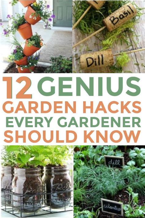 Brilliant Garden Hacks Everyone Should Know Homebody Gardening