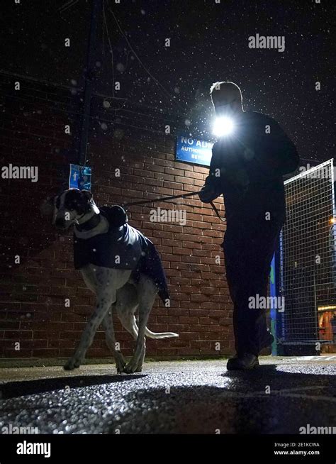 Handlers walk their dogs out to the track at Perry Barr Greyhound Stadium Stock Photo - Alamy