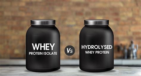 Whey Protein Isolate Vs Hydrolyzed Whey Protein