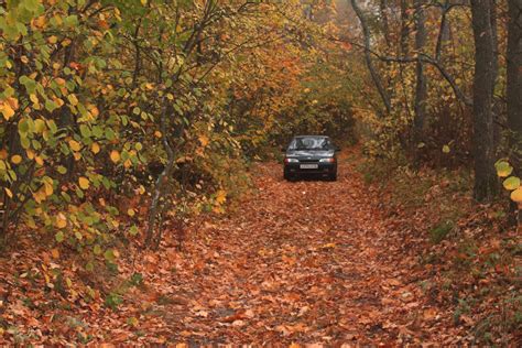 Кривоборье — Lada 2115, 1,5 л, 2006 года | фотография | DRIVE2
