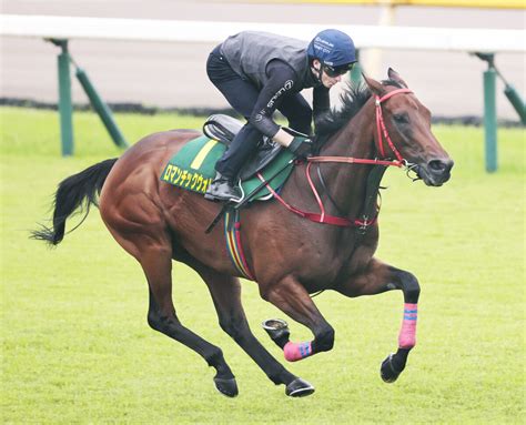 【安田記念】ロマンチックが止まらない！香港g1・7勝馬が圧巻デモ 息乱れず僚馬に楽々先着 Umatoku 馬トク