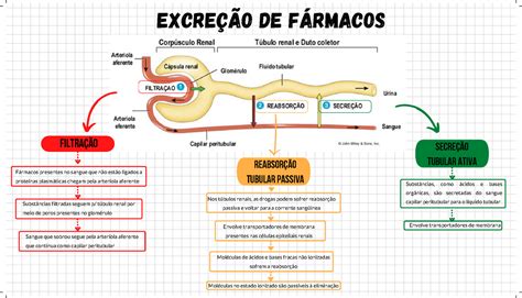 Qual A Influência Do Ph Na Absorção De Fármacos LIBRAIN