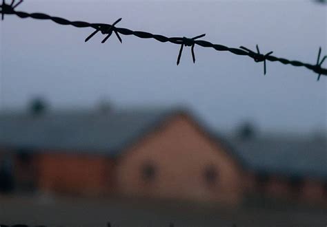 Lesung • Erinnern In Auschwitz Auch An Sexuelle Minderheiten Männer