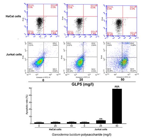 Flow Cytometry Detection Of Apoptosis In The Jurkat Cells After Exposed