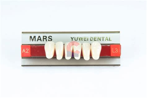 MARS Pontics L3 A2 New Citizens Dental Supply And General Merchandise