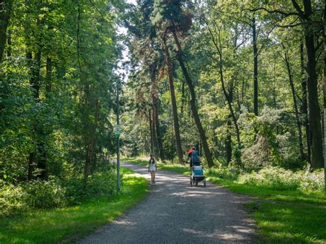 Niebieski Szlak Rowerowy Nr Strumie Pszczyna L