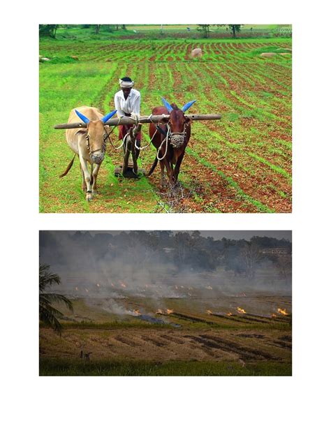 A Project On Different Types Of Farming In India PDF