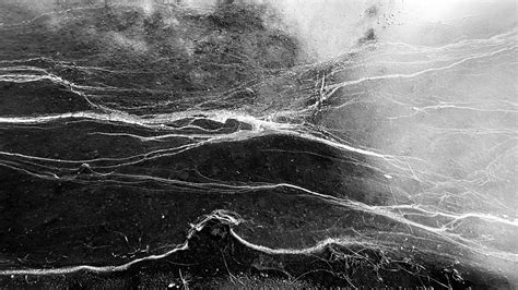 Foam lines on Behance