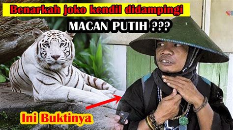 VIRAL JOKO KENDIL Benarkah Musafir Ini Punya Khodam Macan Putih