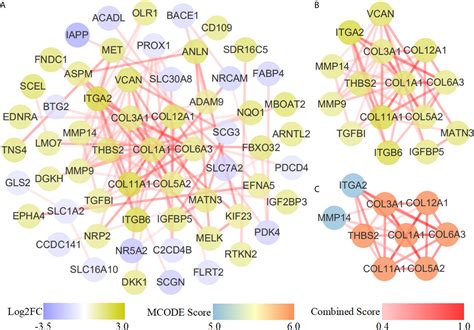 Frontiers Bioinformatics Analysis Of A Prognostic Mirna Signature And