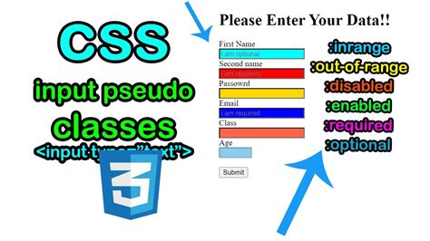 Css All Pseudo Classes Input Pseudo Classes Complete Css In One