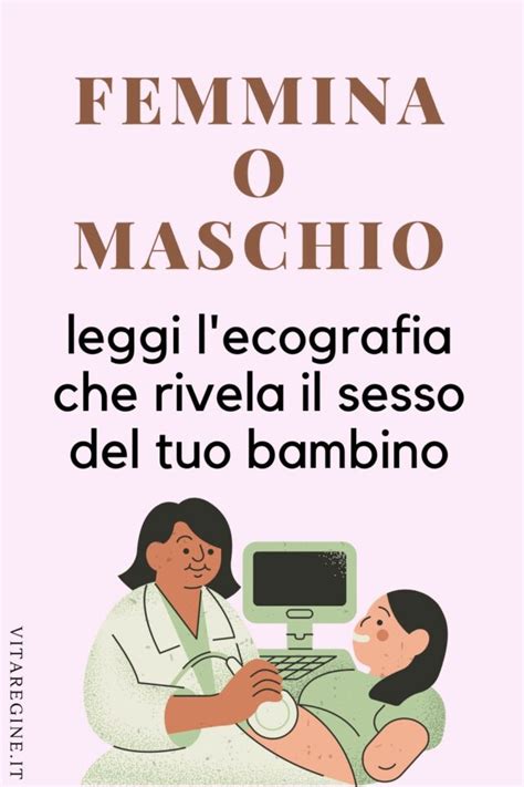 Femmina O Maschio Leggi L Ecografia Che Rivela Il Sesso Del Tuo