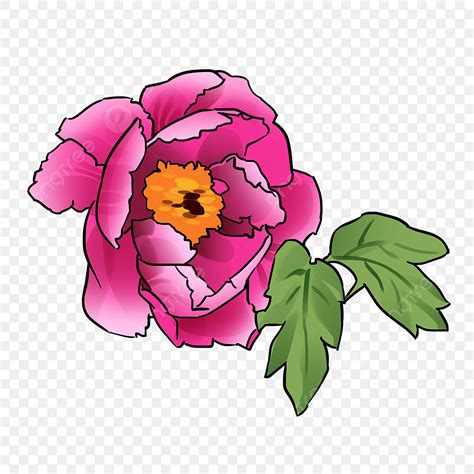 Hand Drawn Elements Png Transparent Hand Drawn Flower Peony