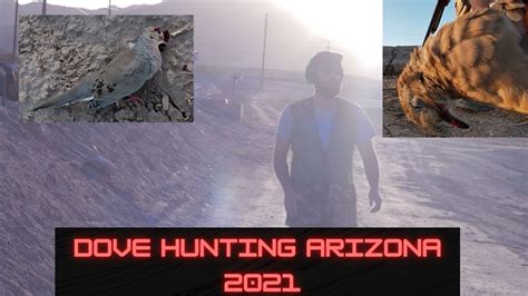 Where To Dove Hunt In Arizona Dove Hunting Yuma Arizona 2021 Dove