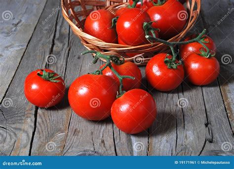 Pomodori Freschi Nella Stagione Su Legno Immagine Stock Immagine Di