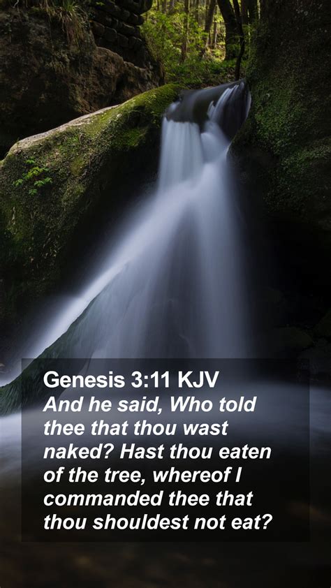 Genesis Kjv Mobile Phone Wallpaper And He Said Who Told Thee