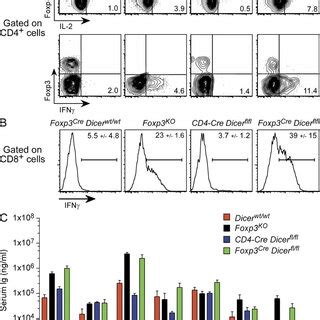 Augmented Cytokine Production And Elevated Serum Levels Of IgE In Mice