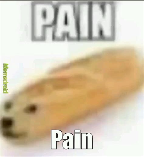 Pain Meme Subido Por Standus Memedroid