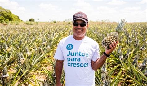 Produtores Rurais Conquistam Novos Mercados O Alagoas Maior