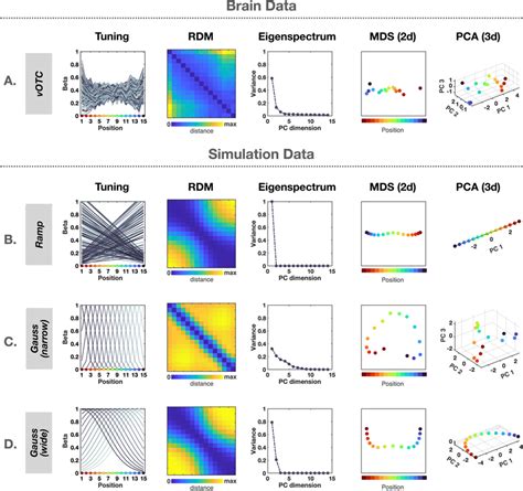 Neural Tuning And Representational Geometry Analysis A Population Of