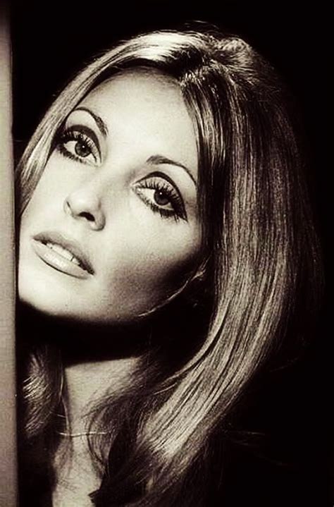 Sea Of Shoes Sharon Tate Makeup Sharon Tate 60s Eye Makeup