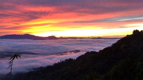 Potret Menakjubkan Kampung Lolai Negeri Di Atas Awan Milik Toraja