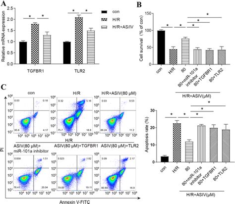 Asiv Protects Cell Viability And Apoptosis Through The Targeting