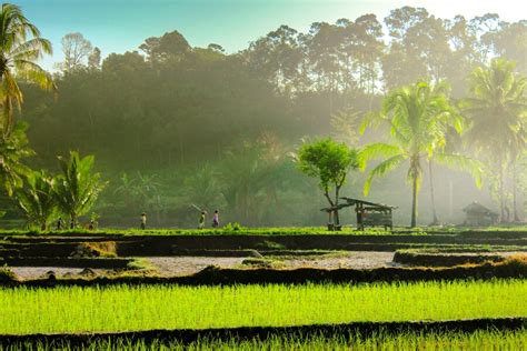 premium photo indonesias natural beauty  aerial  amazing clouds