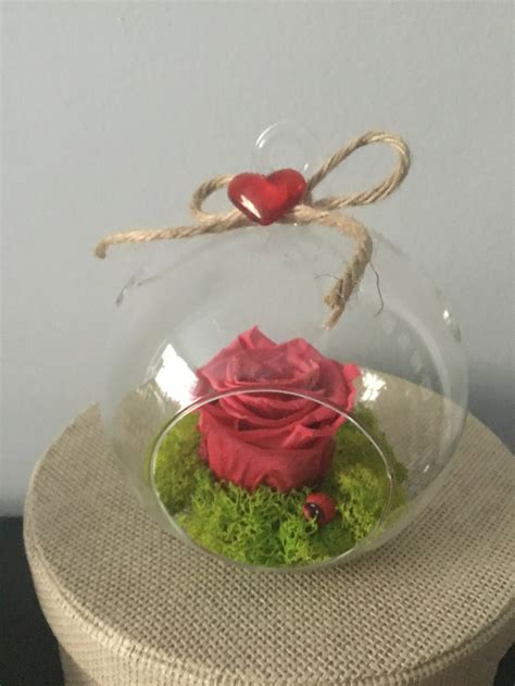 Preserved Rose In Glass Terrarium Globe Hanging Clear Ball Etsy