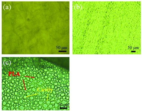 Surface Appearance Of Samples Observed A Naked Carrier B