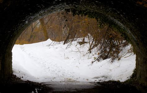 Fondos de pantalla nieve invierno Congelación hielo árbol cielo