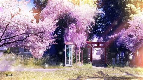 Anime Cherry Blossom Japanese Sakura Anime Hd Wallpaper Pxfuel