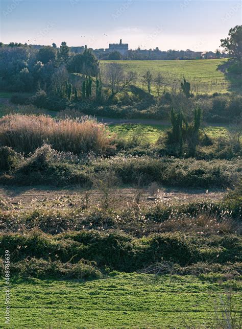 Vertical Panorama Of Typical Italian Countryside Landscape In