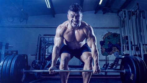 bodybuilding gym  behance