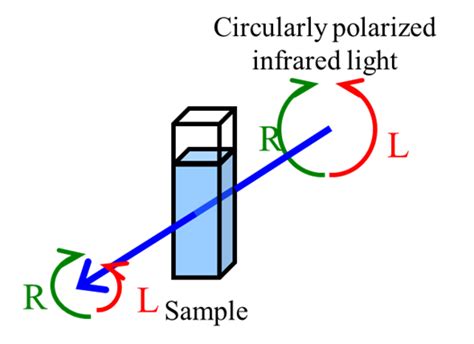 Theory Of Vibrational Circular Dichroism JASCO