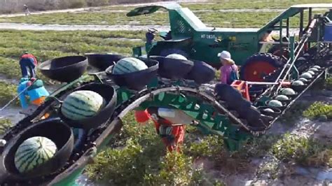 Amazing Agricultural Harvest With Modern Machines At New Level