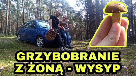 Grzyby 2021 Grzybobranie z Żoną wysyp malutkich podgrzybków YouTube