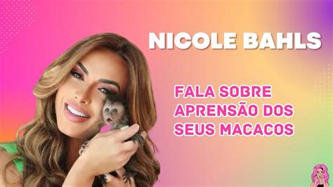 Nicole Bahls Fala Como Foi A Apreens O Dos Seus Macacos A Pol Cia