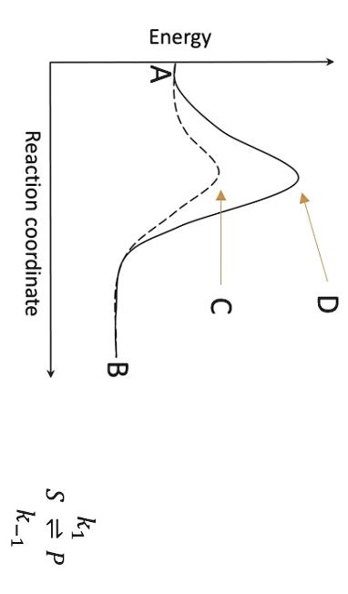 Solved The Lines In The Image Above Represent The Coordinate Diagrams