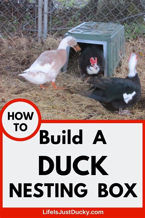 Nesting Boxes For Ducks How To Make Your Own Life Is Just Ducky