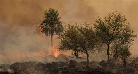 Cifras Devastadoras En Corrientes Determinaron Que 680 Mil Hectáreas