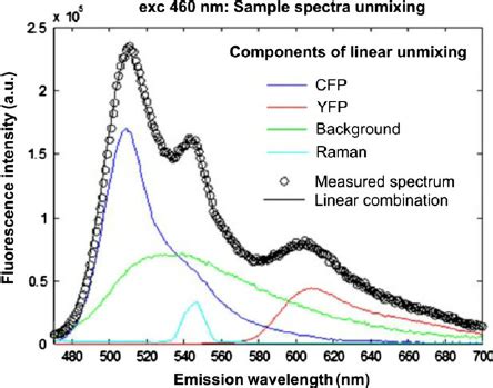 Principle Of Spectral Linear Unmixing The Measured Emission Spectrum