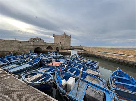 19 Things To Do In Essaouira In 2024 Insider Tips