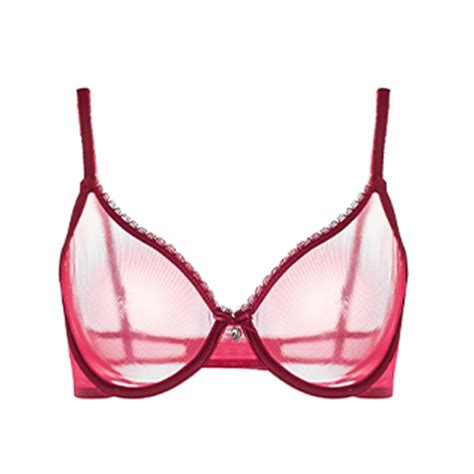 Varsbaby Sexy Mesh See Through Ultra Thin Lingerie Plus Size Transparent Everyday Bra Women