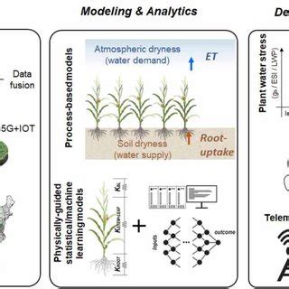 Proposed Systematic Framework Of Precision Irrigation Decision Support