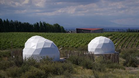 Naturaleza Historia Y Vino Por Qué Mendoza Es Amada Por Los Turistas Argentinos Y Extranjeros